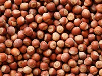 Shutterstock_2028616601_hazelnut_lazdu rieksti.jpg