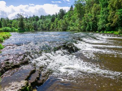 Shutterstock_1066024289_abavas upe.jpg