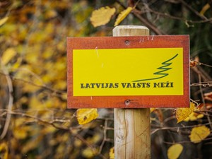 Shutterstock_2540167671_Latvijas valsts meži.jpg