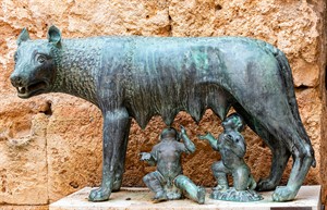 shutterstock_2060361929_Luperca_Luperka.jpg