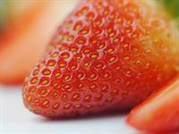 Shutterstock_2002044908_strawberries seeds_zemeņu sēklas.jpg