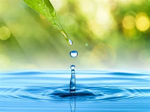 shutterstock_107327777.jpg