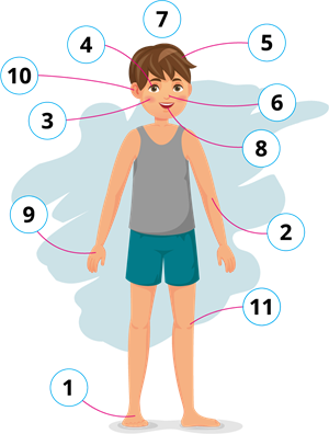 YCUZD_260126_7217_ķermeņa daļas_cipari_4.png