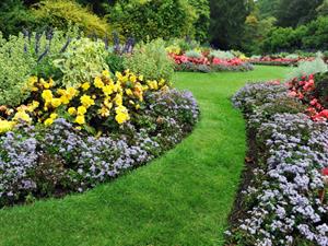 Shutterstock_116164459_garden_dārzs.jpg