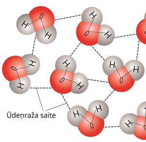 ūdeņraža saite.jpg