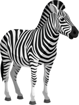 YCUZD_230709_5338_picture_das Zebra.png