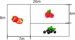 YCUZD_231051_5655_8.1.png