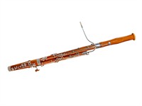 shutterstock_1303942441_bassoon_fagots.jpg