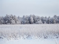 shutterstock_2239943607_winter_ziema.jpg