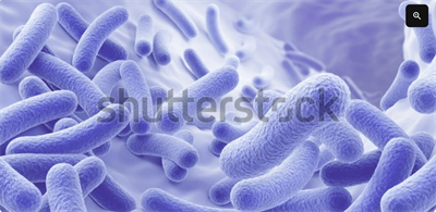 Screenshot 2026-03-12 202510.png