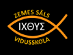 Zemes Sāls vidusskola