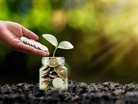 shutterstock_1852018579_plant on money_augs naudā.jpg