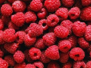 Shutterstock_1442798891_raspberries_avenes.jpg