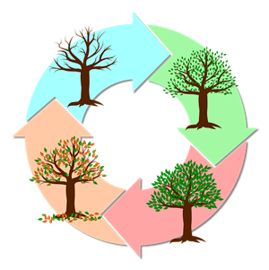 seasons of the year_gadalaiki_времена года.png