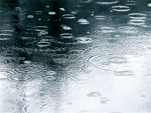 neliels lietus 3.png