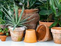 shutterstock_2126463773_clay flower pots_māla puķu podi.jpg