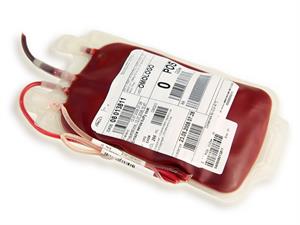 ANTONIO TRUZZI Shutterstock.jpg