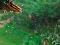 shutterstock_1064586206_Drizzle rain_Sīks lietutiņš.jpg